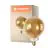Ledvance Smart+ Wifi E27 G125 8W 600lm - 822-850 Variable Blanc | Dimmable - Équivalent 60W