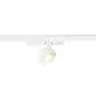 SLV Spot Sur Rail Kalu 2.0 3 Phases  Aluminium Blanc 10W 1450lm 36D - 840 Blanc Froid | Meilleur Rendu Des Couleurs - Dimmable