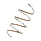 Ledvance Rubans LED Performance 60W 7020lm 24v - 965 Lumière Du Jour | 5M/8mm - Meilleur Rendu Des Couleurs