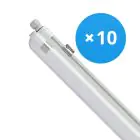 Lot 10x Philips Réglette LED Étanche CoreLine WT120C G2 42.9W 6000lm - 840 Blanc Froid | 150cm 