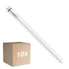 Lot 10x Philips Master Tube LED T8 (EM/Direct 230V) High Output T8 7.6W 1150lm - 840 Blanc Froid | 60cm - Équivalent 18W