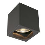 SLV Big Theo Plafond Spot Aluminium Antraciet | Buitenverlichting - IP44 - Geschikt voor 1x GU10 Max. 75W - Dimbaar
