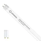 Ledvance LED Buis T8 Superior (EM/Mains) Standard Output 6.3W 995lm - 830 Warm Wit | 60cm - Vervangt 18W