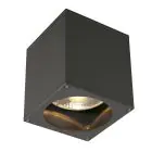 SLV Big Theo Plafond Spot Aluminium Antraciet | Buitenverlichting - IP44 - Geschikt voor 1x GU10 Max. 75W - Dimbaar