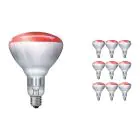 Voordeelpak 10x Philips BR125 IR 250W E27 230-250V Rood
