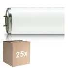 Voordeelpak 25x Philips TL-DK 36W - Blacklight | 60cm - Insectkiller