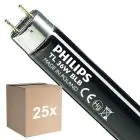Voordeelpak 25x Philips MASTER TL-D 36W - Blacklight Blauw | 120cm