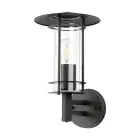 Eglo Wandlamp Lisio 1 Roestvrij Staal Zwart | IP44 - Geschikt voor 1x E27